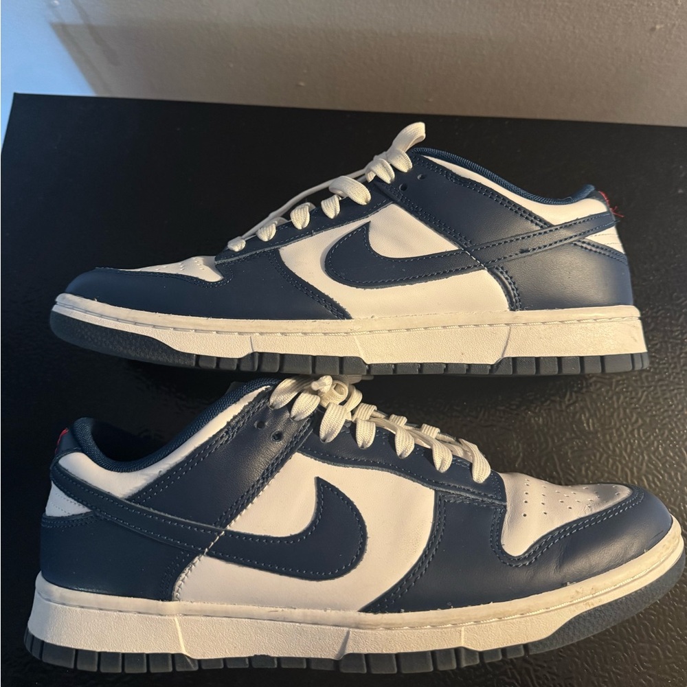 Mens nike dunks